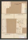 Synedra affinis Kuetz. (de-Toni-Nr.: Genus 66, Species 2607) Zeichnungen Sammlung Grunow Nr. 5328 (NHMW-BOT-W0373731)